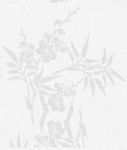 关于君澜